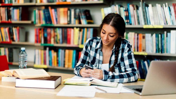 proyecto de ensayos servicio de ensayos universitarios